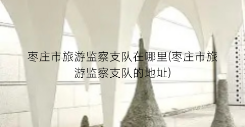 枣庄市旅游监察支队在哪里(枣庄市旅游监察支队的地址)