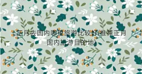 正月去国内哪里旅游比较好(推荐正月国内旅游目的地)