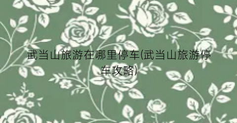 武当山旅游在哪里停车(武当山旅游停车攻略)