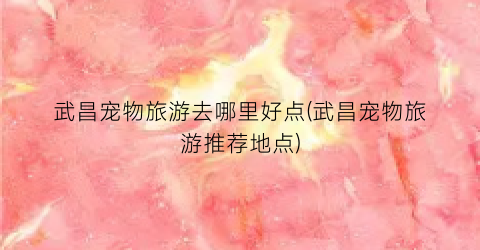 武昌宠物旅游去哪里好点(武昌宠物旅游推荐地点)