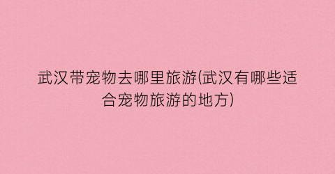 武汉带宠物去哪里旅游(武汉有哪些适合宠物旅游的地方)
