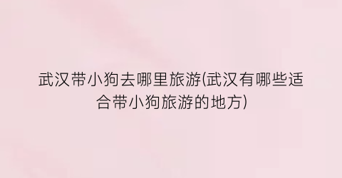 武汉带小狗去哪里旅游(武汉有哪些适合带小狗旅游的地方)