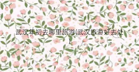 武汉年初去哪里旅游(武汉旅游好去处)