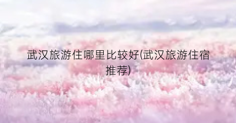 武汉旅游住哪里比较好(武汉旅游住宿推荐)