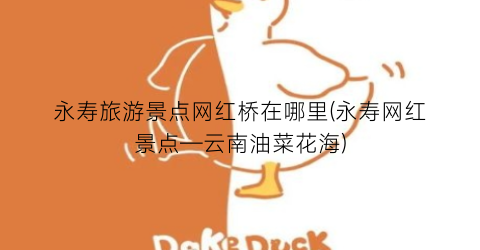 永寿旅游景点网红桥在哪里(永寿网红景点—云南油菜花海)