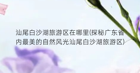 汕尾白沙湖旅游区在哪里(探秘广东省内最美的自然风光汕尾白沙湖旅游区)