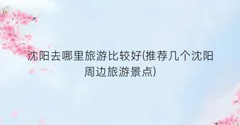 沈阳去哪里旅游比较好(推荐几个沈阳周边旅游景点)
