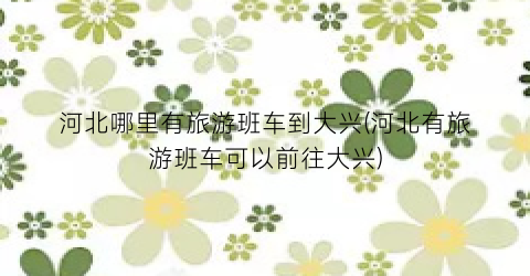 河北哪里有旅游班车到大兴(河北有旅游班车可以前往大兴)