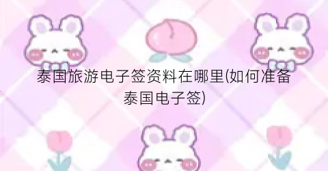 泰国旅游电子签资料在哪里(如何准备泰国电子签)