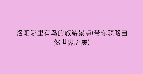 洛阳哪里有鸟的旅游景点(带你领略自然世界之美)