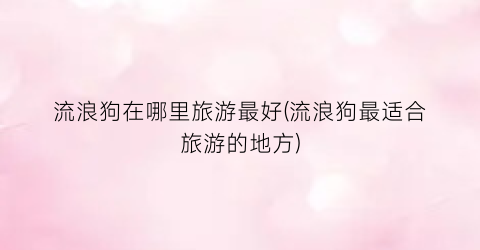 流浪狗在哪里旅游最好(流浪狗最适合旅游的地方)