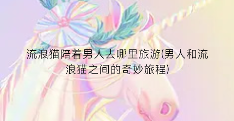 流浪猫陪着男人去哪里旅游(男人和流浪猫之间的奇妙旅程)