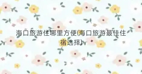 海口旅游住哪里方便(海口旅游最佳住宿选择)