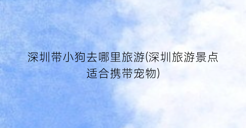 深圳带小狗去哪里旅游(深圳旅游景点适合携带宠物)