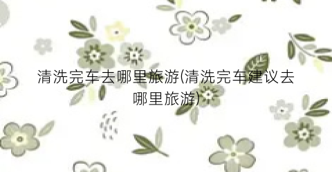 清洗完车去哪里旅游(清洗完车建议去哪里旅游)