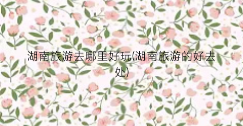 湖南旅游去哪里好玩(湖南旅游的好去处)