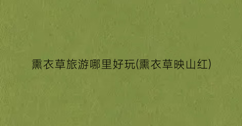 熏衣草旅游哪里好玩(熏衣草映山红)