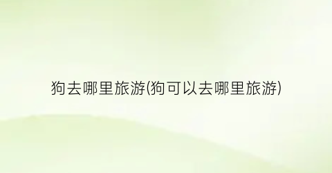 狗去哪里旅游(狗可以去哪里旅游)