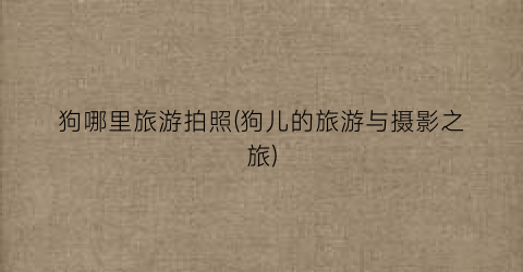 狗哪里旅游拍照(狗儿的旅游与摄影之旅)