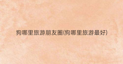 狗哪里旅游朋友圈(狗哪里旅游最好)