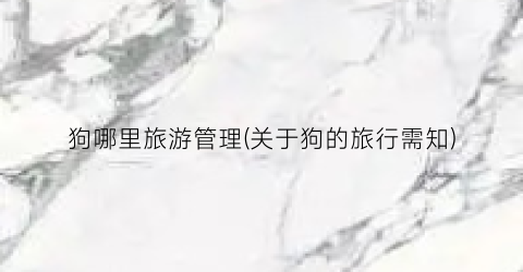 狗哪里旅游管理(关于狗的旅行需知)