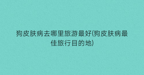 狗皮肤病去哪里旅游最好(狗皮肤病最佳旅行目的地)