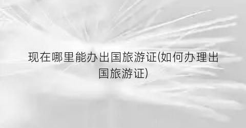 现在哪里能办出国旅游证(如何办理出国旅游证)