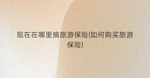 现在在哪里搞旅游保险(如何购买旅游保险)