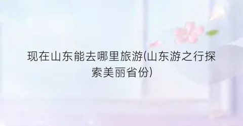 现在山东能去哪里旅游(山东游之行探索美丽省份)