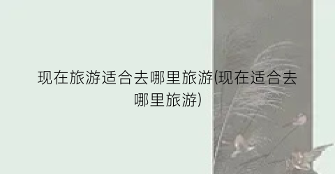 现在旅游适合去哪里旅游(现在适合去哪里旅游)