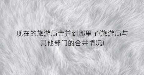 现在的旅游局合并到哪里了(旅游局与其他部门的合并情况)