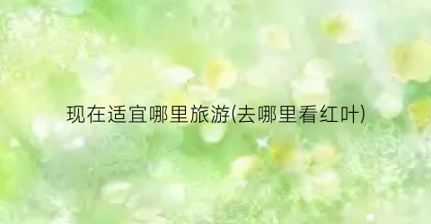 现在适宜哪里旅游(去哪里看红叶)