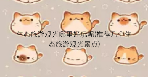 生态旅游观光哪里好玩呢(推荐几个生态旅游观光景点)