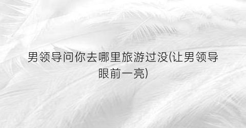 男领导问你去哪里旅游过没(让男领导眼前一亮)