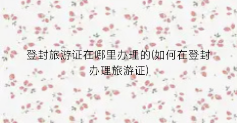 登封旅游证在哪里办理的(如何在登封办理旅游证)