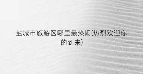 盐城市旅游区哪里最热闹(热烈欢迎你的到来)