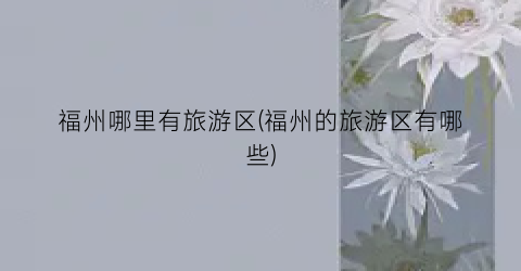 福州哪里有旅游区(福州的旅游区有哪些)