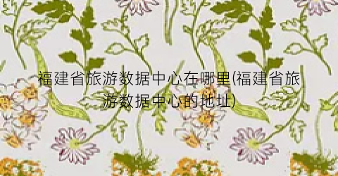 福建省旅游数据中心在哪里(福建省旅游数据中心的地址)