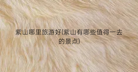 紫山哪里旅游好(紫山有哪些值得一去的景点)