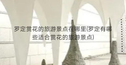 罗定赏花的旅游景点在哪里(罗定有哪些适合赏花的旅游景点)