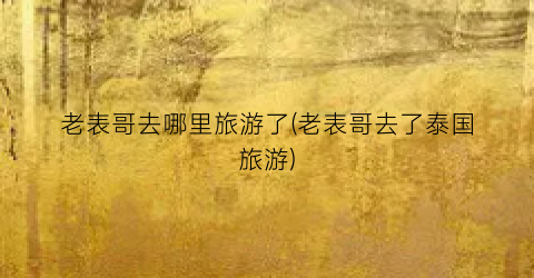 老表哥去哪里旅游了(老表哥去了泰国旅游)