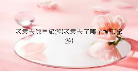 老袁去哪里旅游(老袁去了哪个城市旅游)
