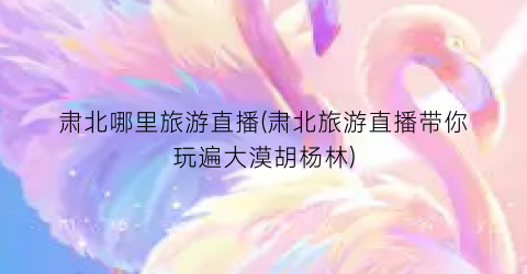 肃北哪里旅游直播(肃北旅游直播带你玩遍大漠胡杨林)