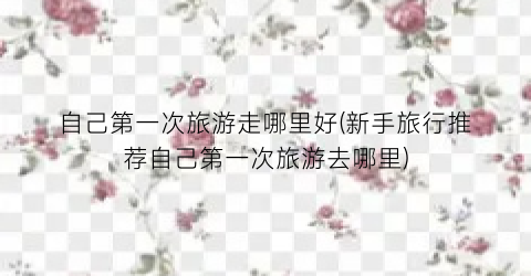 自己第一次旅游走哪里好(新手旅行推荐自己第一次旅游去哪里)
