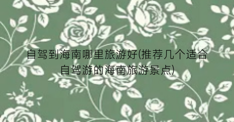 自驾到海南哪里旅游好(推荐几个适合自驾游的海南旅游景点)