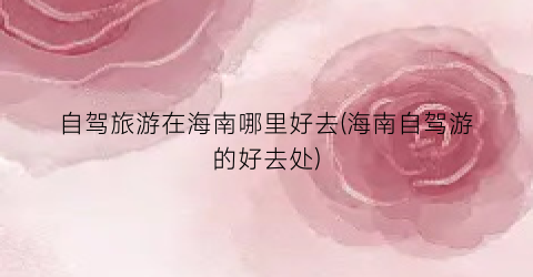 自驾旅游在海南哪里好去(海南自驾游的好去处)