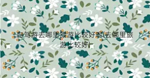 自驾游去哪里旅游比较好呢(去哪里旅游比较好)