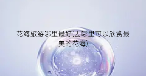 花海旅游哪里最好(去哪里可以欣赏最美的花海)
