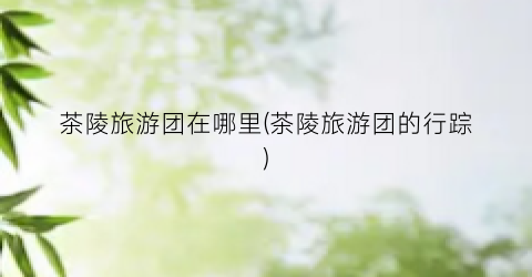 茶陵旅游团在哪里(茶陵旅游团的行踪)