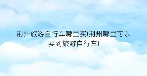 荆州旅游自行车哪里买(荆州哪里可以买到旅游自行车)